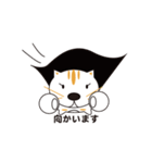 エアーにゃんまる（個別スタンプ：1）