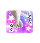 宇宙柄のハイパー猫ちゃん★実写（個別スタンプ：22）