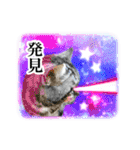 宇宙柄のハイパー猫ちゃん★実写（個別スタンプ：27）