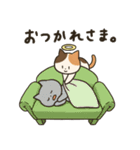 星になった猫（個別スタンプ：5）