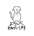 しろゆるいぬ（個別スタンプ：3）