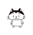 アメショのルル（個別スタンプ：3）