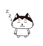 アメショのルル（個別スタンプ：11）