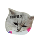 らびにゃん（個別スタンプ：8）