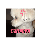 いぶちすたんぷ（個別スタンプ：3）