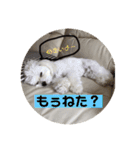 いぶちすたんぷ（個別スタンプ：7）