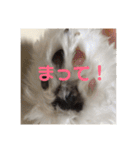 いぶちすたんぷ（個別スタンプ：9）