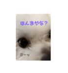 いぶちすたんぷ（個別スタンプ：10）