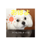 いぶちすたんぷ（個別スタンプ：14）