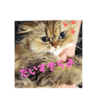 うちの子 さくれ（個別スタンプ：4）