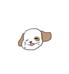 感情表現に忙しい茶ぶち犬です。（個別スタンプ：27）