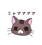 うちの猫をスタンプにしました。（個別スタンプ：12）