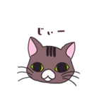 うちの猫をスタンプにしました。（個別スタンプ：13）