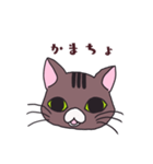 うちの猫をスタンプにしました。（個別スタンプ：15）