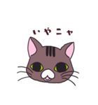 うちの猫をスタンプにしました。（個別スタンプ：17）