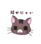 うちの猫をスタンプにしました。（個別スタンプ：19）