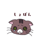 うちの猫をスタンプにしました。（個別スタンプ：20）