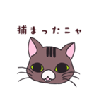 うちの猫をスタンプにしました。（個別スタンプ：23）