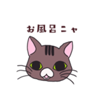 うちの猫をスタンプにしました。（個別スタンプ：30）