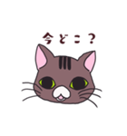 うちの猫をスタンプにしました。（個別スタンプ：33）