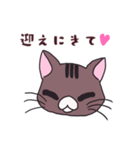 うちの猫をスタンプにしました。（個別スタンプ：35）