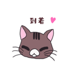 うちの猫をスタンプにしました。（個別スタンプ：36）