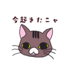 うちの猫をスタンプにしました。（個別スタンプ：39）