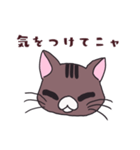 うちの猫をスタンプにしました。（個別スタンプ：40）