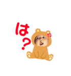 せっちゃん くーちゃん（個別スタンプ：16）