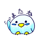 まるまる青色セキセイインコ（個別スタンプ：16）