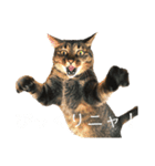 かわいいやつめ！（個別スタンプ：1）