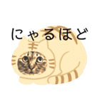 かわいいやつめ！（個別スタンプ：8）