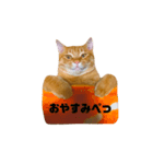ぺーとの日常会話（個別スタンプ：2）