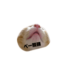 ぺーとの日常会話（個別スタンプ：7）