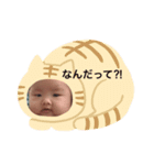 しほり（個別スタンプ：6）