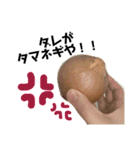 りおんの日常(Yorkie,poodle)（個別スタンプ：14）