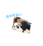 みなみん（個別スタンプ：2）