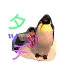 湊音3（個別スタンプ：13）