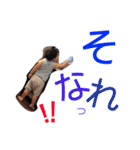 湊音3（個別スタンプ：15）