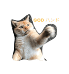 ころりん猫スタンプ（個別スタンプ：2）