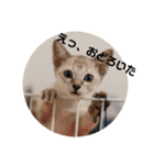 大五郎＆富実子の日常 Vol.001〜004（個別スタンプ：4）