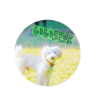 大五郎＆富実子の日常 Vol.001〜004（個別スタンプ：14）
