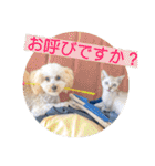 大五郎＆富実子の日常 Vol.001〜004（個別スタンプ：27）