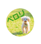 大五郎＆富実子の日常 Vol.001〜004（個別スタンプ：30）
