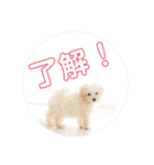 大五郎＆富実子の日常 Vol.001〜004（個別スタンプ：32）