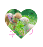 大五郎＆富実子の日常 Vol.001〜004（個別スタンプ：37）