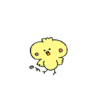 ぷるぷるひよこさん（個別スタンプ：37）