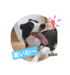 りーろ、にこ（個別スタンプ：1）