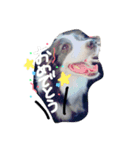 りーろ、にこ（個別スタンプ：3）