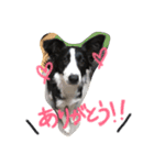 りーろ、にこ（個別スタンプ：4）